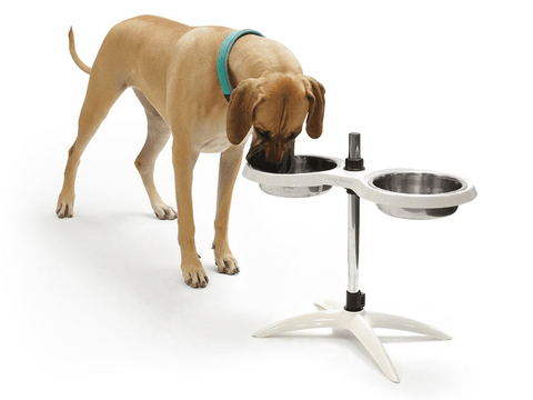 Height Adjustable Double Feeding Dog Bowl