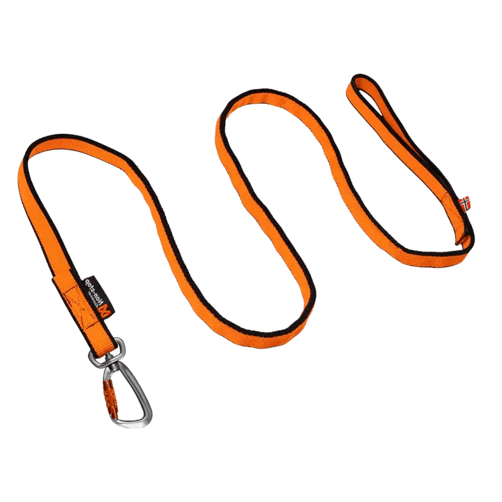 Non-stop Dogwear Bungee Leash