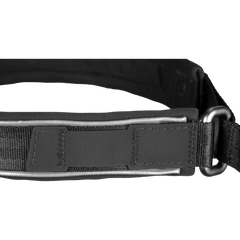 Non-stop dogwear Cruise Collar