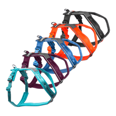 Non-stop Dogwear Line Harness 5.0