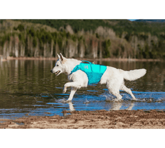Non-stop dogwear Protector life jacket
