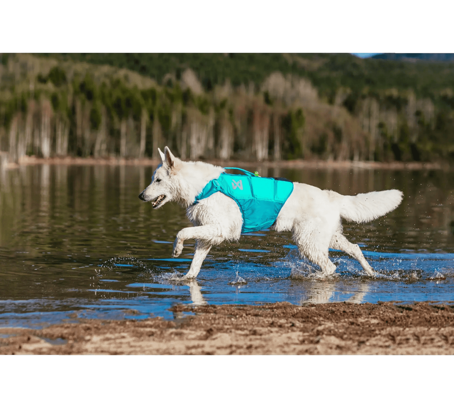 Non-stop dogwear Protector life jacket
