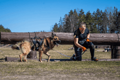Non-stop dogwear Rock Harness Long