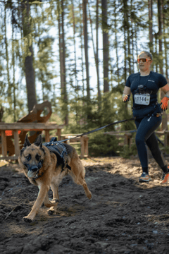 Non-stop dogwear Rock Harness Long