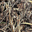 Realtree
