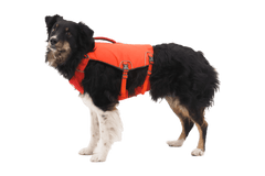 Ruffwear Confluence Life Jacket