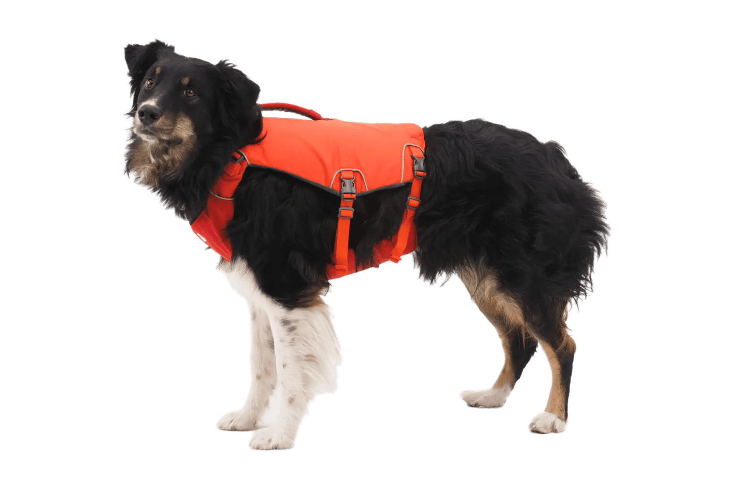 Ruffwear Confluence Life Jacket