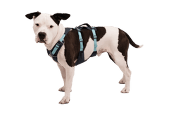 Ruffwear Flagline™ Dog Harness