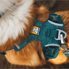 Ruffwear Front Range™ Flex Harness