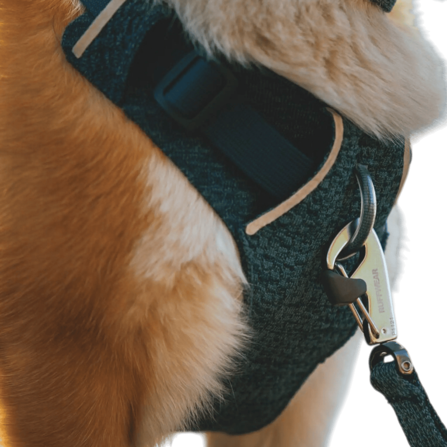 Ruffwear Front Range™ Flex Harness