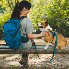Ruffwear Front Range™ Flex Harness