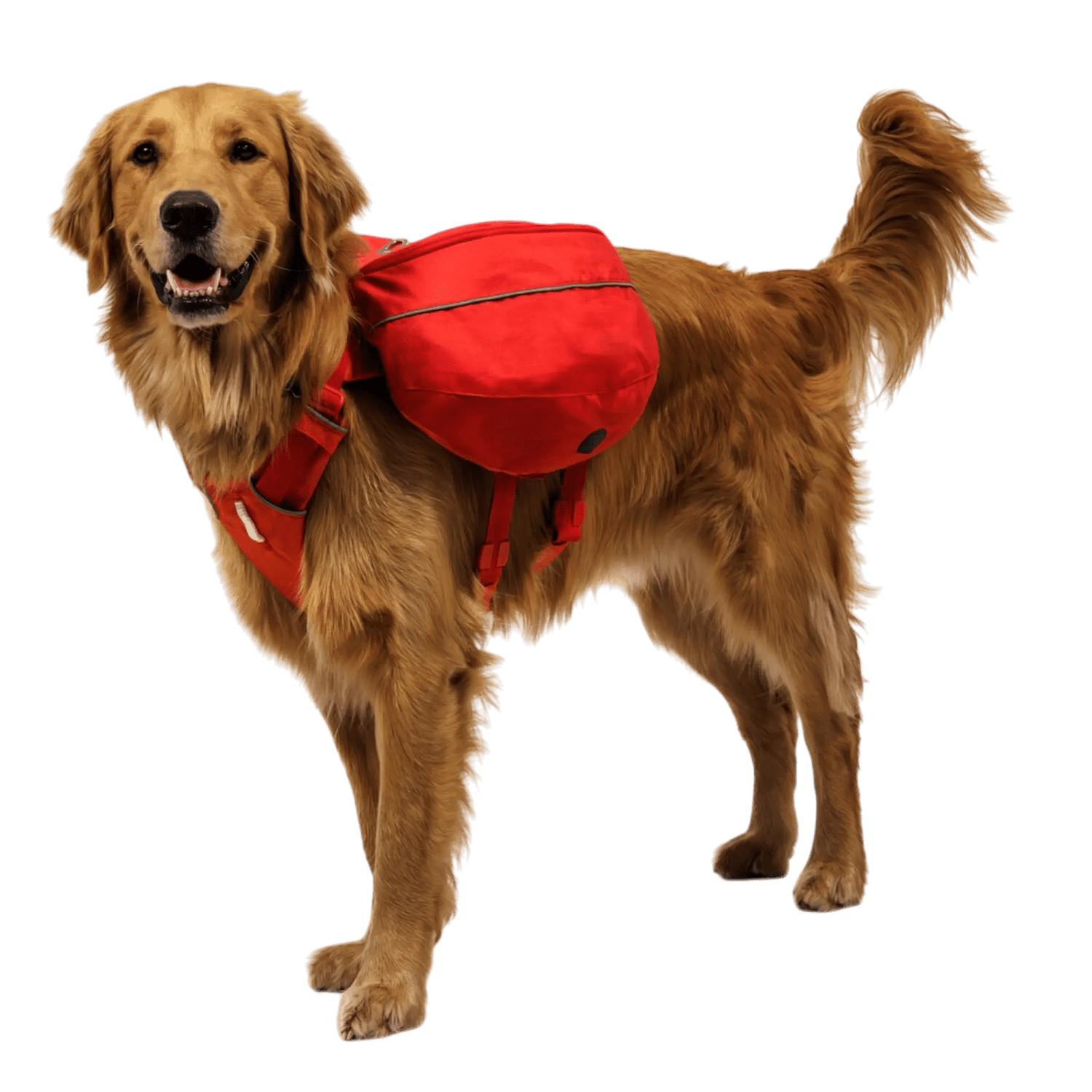 Ruffwear Palisades™ Dog Pack
