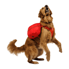 Ruffwear Palisades™ Dog Pack