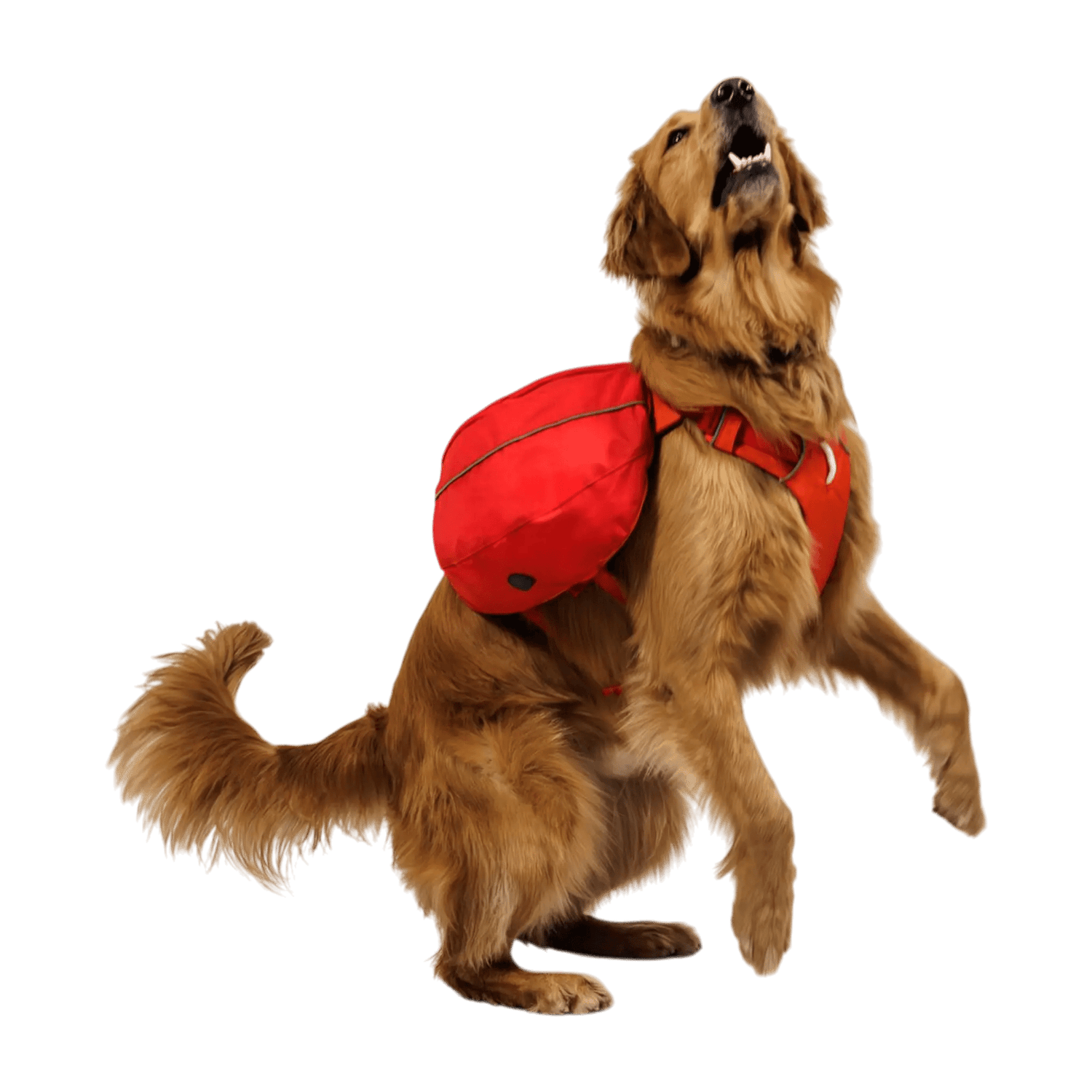 Ruffwear Palisades™ Dog Pack