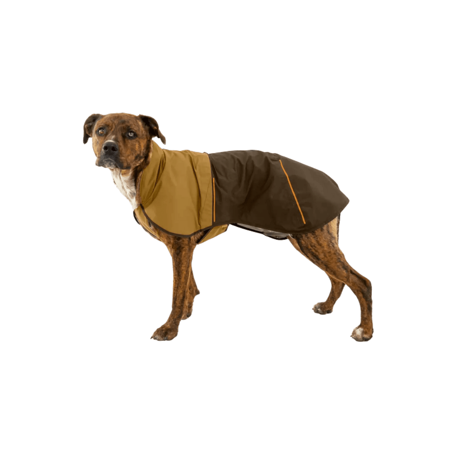 Ruffwear Sun Shower Dog Raincoat