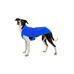 Ruffwear Vert™ Dog Vest: Waterproof Jacket for Active Dogs