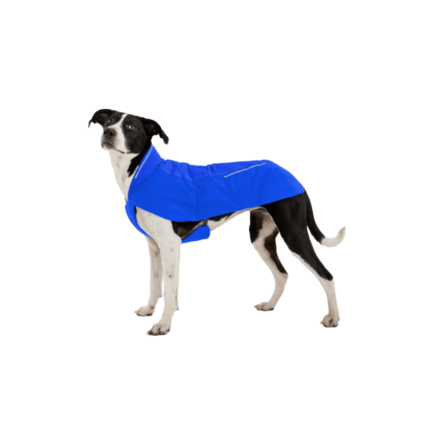 Ruffwear Vert™ Dog Vest: Waterproof Jacket for Active Dogs