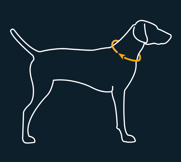 Ruffwear collar sizing guide showing neck measurement and collar width