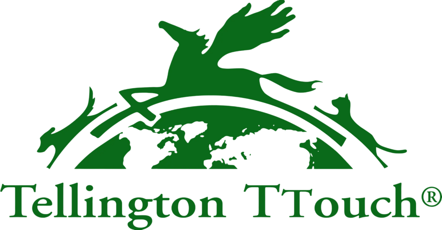 Tellington TTouch Dog Harnesses, Leads & Connectors - Wiggle and Wag
