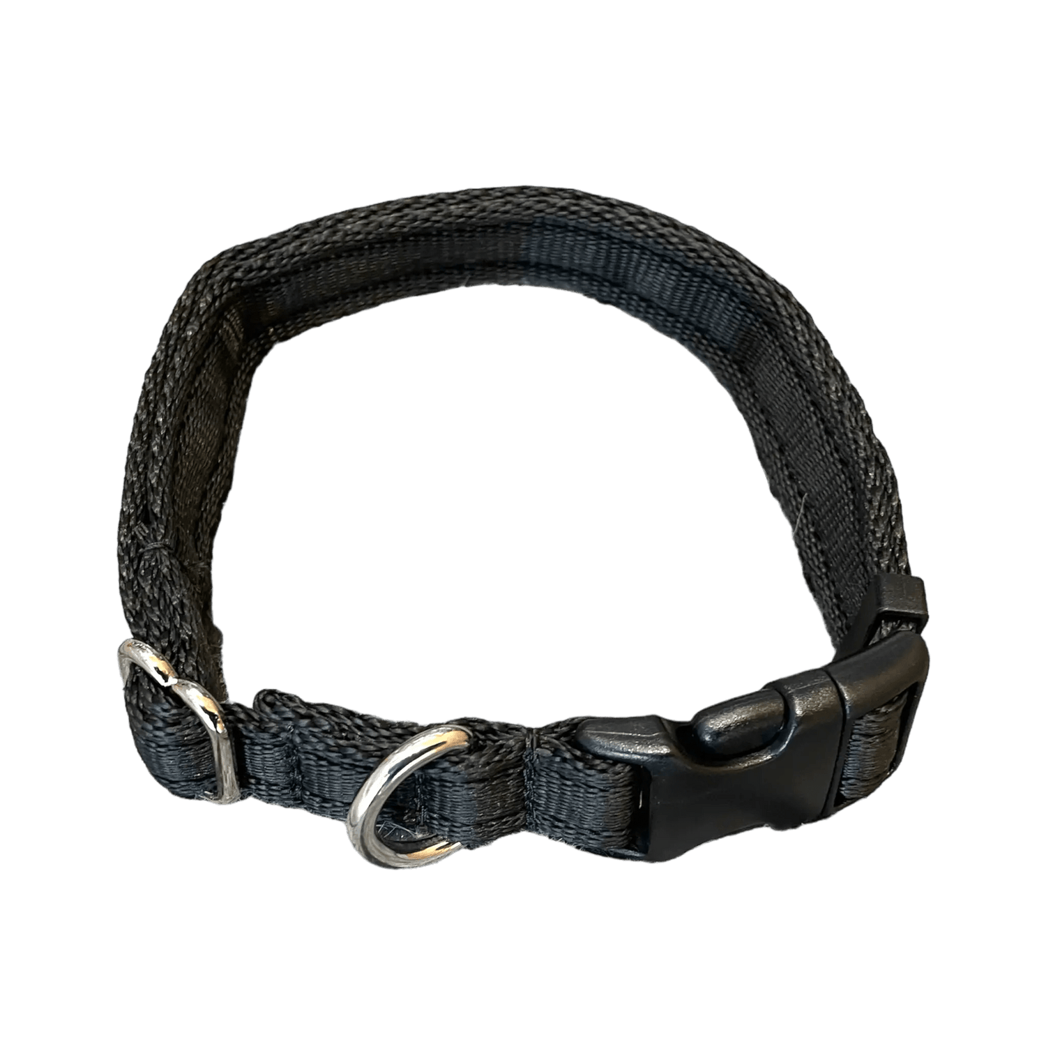 Wiggle and Wag Adjustable Dog Collar