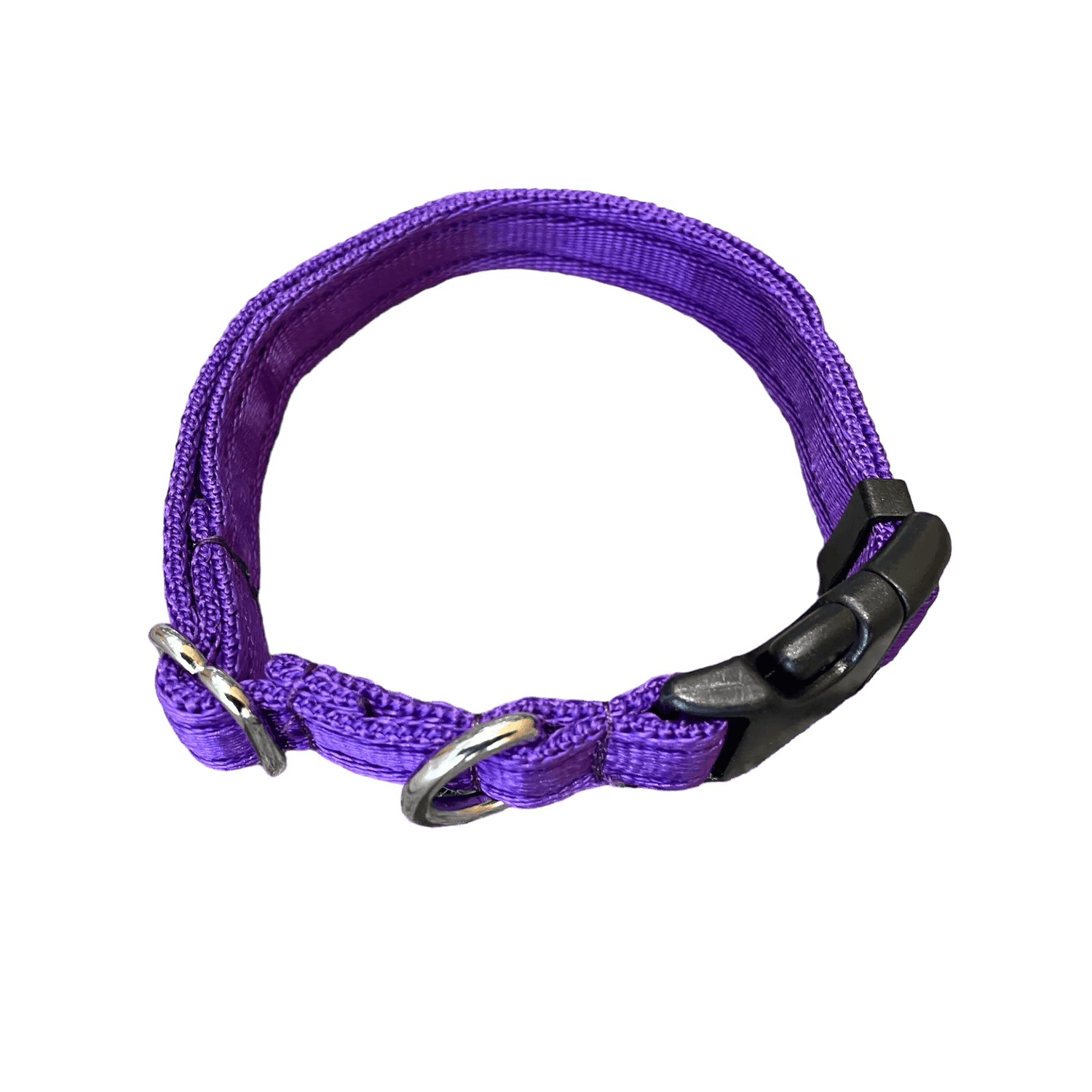 Wiggle and Wag Adjustable Dog Collar