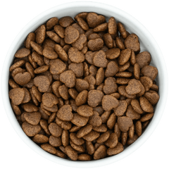 Wiggle & Wag Digestive Care – 100% Hydrolysed Turkey (Adult Dog)